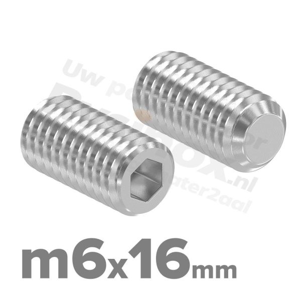 RVS stelschroef M6x16 ISO 4026 (DIN 913) A2