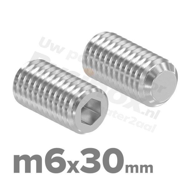 RVS stelschroef M6x30 ISO 4026 (DIN 913) A2