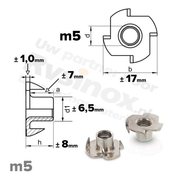 Rvs inslagmoer m5 voor hout - Art. 9260 A2 | Rvsinox.nl