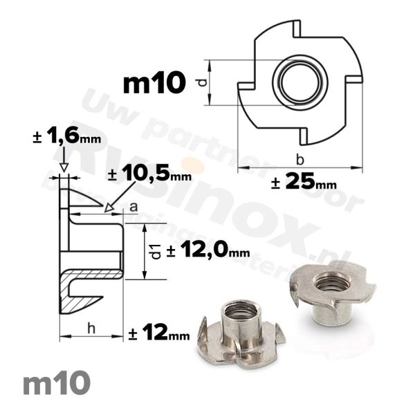 Rvs inslagmoer m10 voor hout - Art. 9260 A2 | Rvsinox.nl