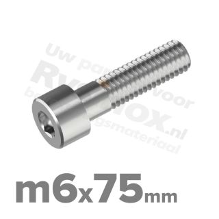 Inbusbout M6x75 DIN 912 / ISO 4762 - RVS A2 (Inox)